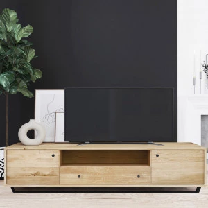 RTV-Schrank aus Eiche Steel 05 (206 1s2d hoch)
