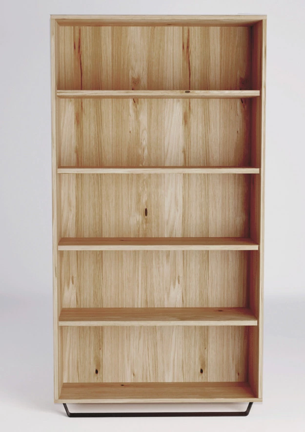 Regal aus Eiche Steel 01