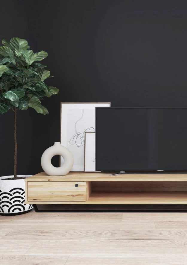 RTV-Schrank aus Eiche Steel 04 (206 2d niedrig)