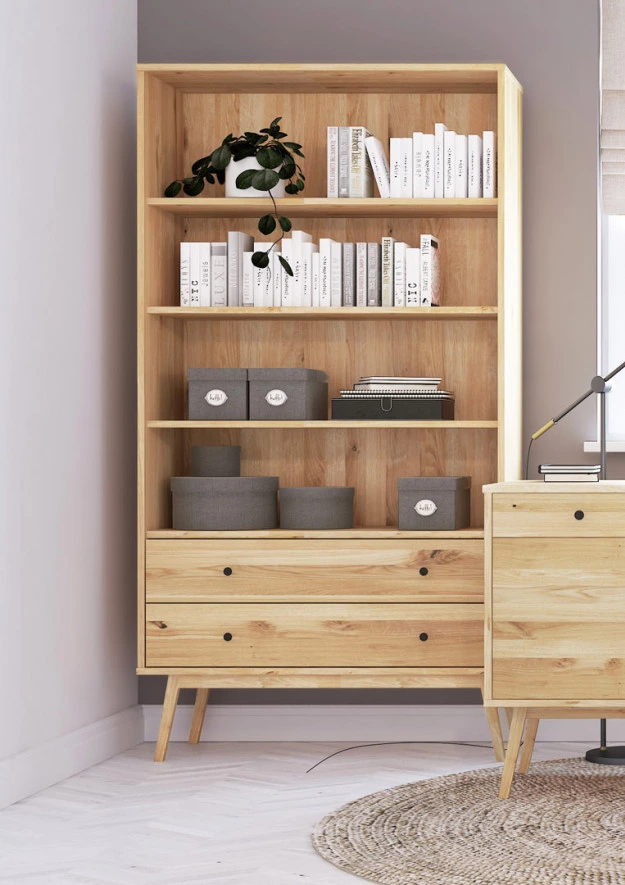 Regal aus Eiche Malaga 03 2s