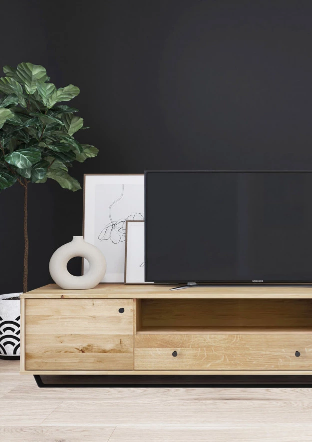 RTV-Schrank aus Eiche Steel 05 (206 1s2d hoch)
