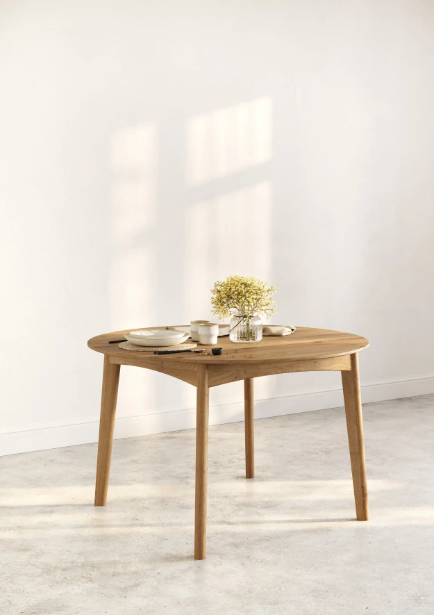 Tisch Fern 01