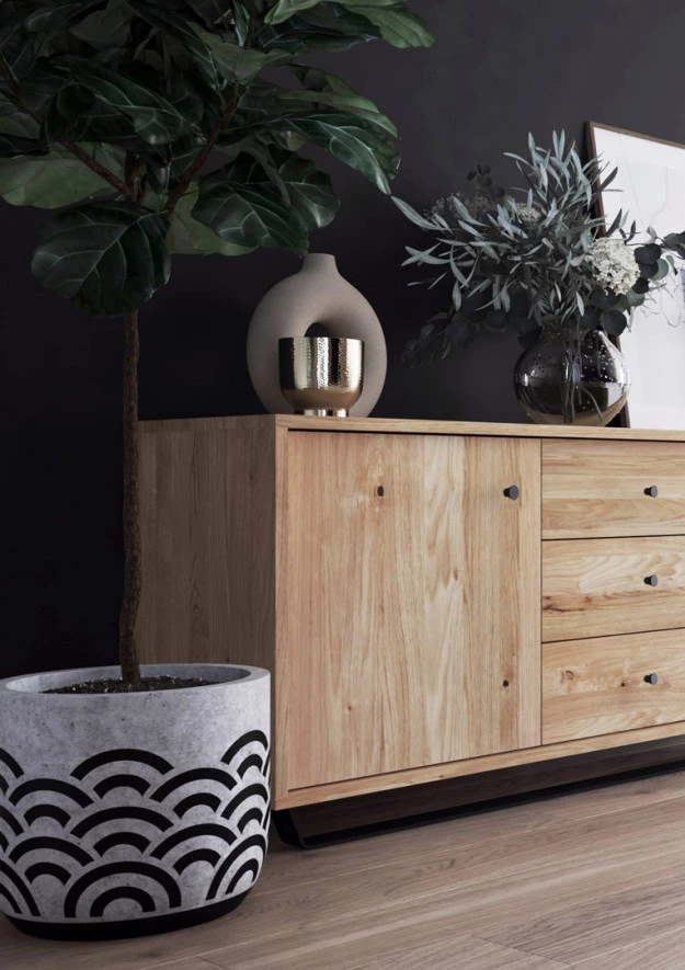 RTV-Schrank aus Eiche Steel 03 (2d hoch)
